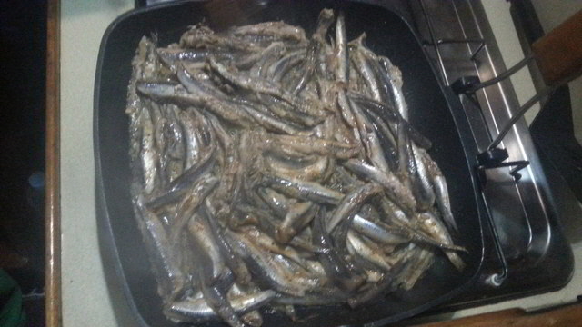 fisch2