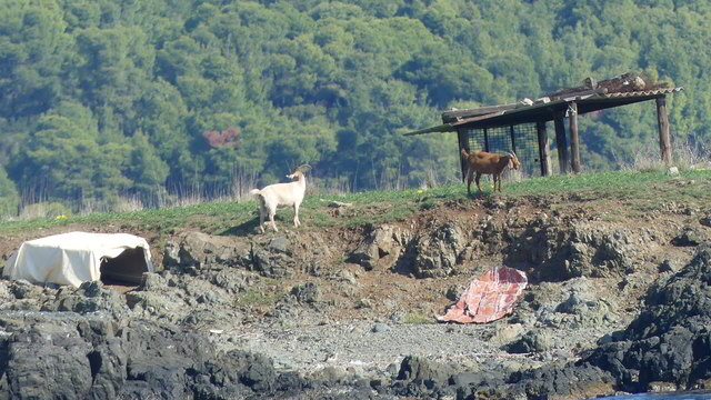 spalathronisia islands1