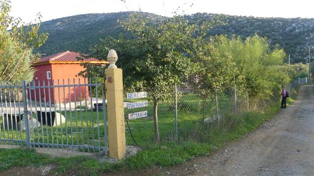 zum marathias beach4