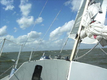 BILD0829